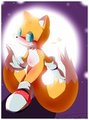 Le Tailsy with colors