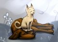 Cat and Dog by Wick