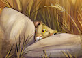 *peeks*