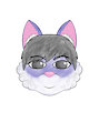 the cat