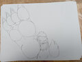 Gnar paw about to stomp
