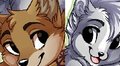 The Skunk and the 'Yote