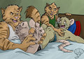 Image Pack Cats Vs Mice Sample 3