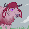 Valentine's Cow