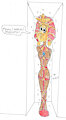 MUMMY BOUND  Anais Watterson