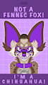 NOT A FENNEC FOX!