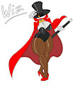 Wiz from kirby & the amazing mirror