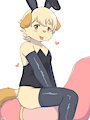 bunny boy