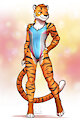 [C] Swimsuit Timmed