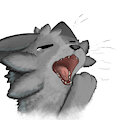 Big yawns