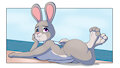 Bunny on a Beach -P-