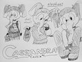 Cassie (not an adoptable)
