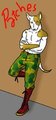 Patches. 