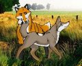 Oh, nasty coyote! 