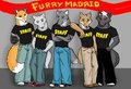 FM STAFF.   by Coyotekoi