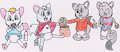 Cookie Chinchillas