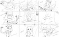 Concepts