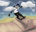 Coyo Skate