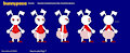 Bunnypaca