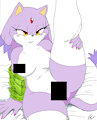 Blaze the cat
