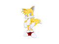 Tails by faith4869