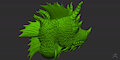 Dragon/Lizard Test