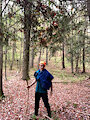 The Modern Traveler in his Natural Habitat by JohnMKieley0
