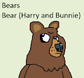 Bear Daily Character - Bear (Harry and Bunnie)