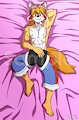 Solatorobo Red Savarin Dakimakura by RaxkiYamato