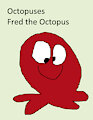 Octopus Daily Character - Fred the Octopus