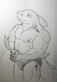 Content Shark by FST
