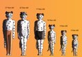 Osee's AR/age progression sheet by Iakhot