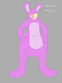 Foolish Bunny Bunny
