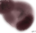 Fur practice