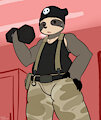 Commission for nm41