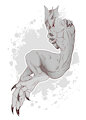 Patreon commissions