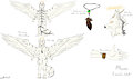 RefSheet • by Anfani