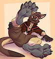 Zanky Paws - Clothed, No Socks