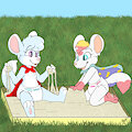 Sand Box Chinchillas -By NazzNikoNanuke-