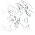 Sonic Steadfast (Picture has some flaws) by SteadfastHeartofGold
