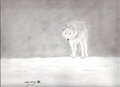 wolf alone by werealbertwolf