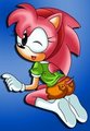 Classic Amy Bootai Pants