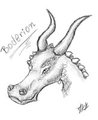 Sketchy Boderion