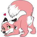 Kora Cub