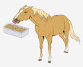 Horse to Bluejay TF (7 Images)