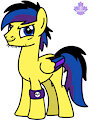 PonySeb 2.0: better than ever!