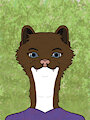 Stoat Portrait - Summer Coat