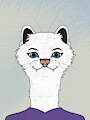 Stoat Portrait - Winter Coat