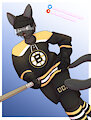 Draco is a Bruins