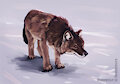Dhole speedpaint by WerewolfDegenerate
